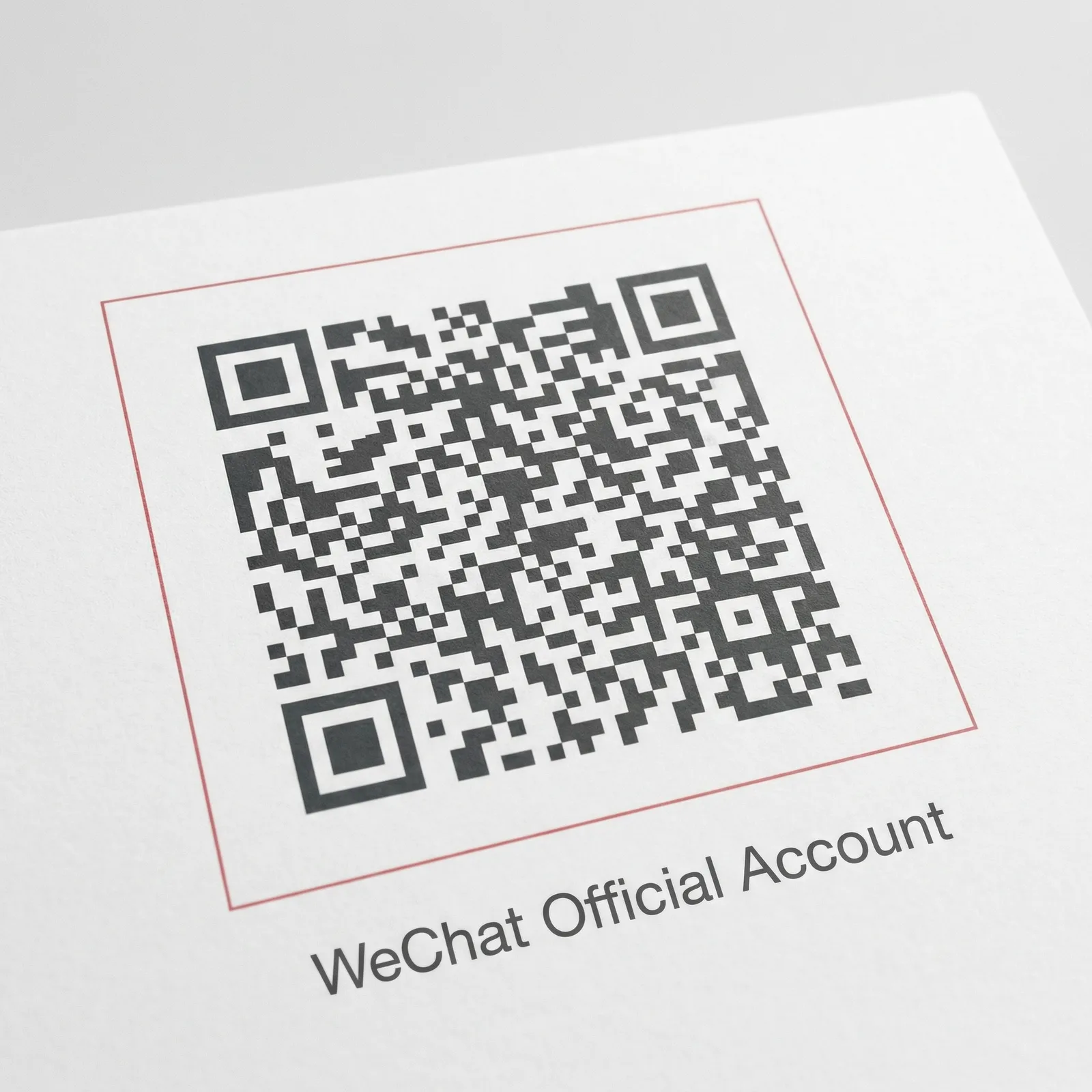 母狗官网公众号二维码